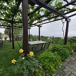Olga Guest house 3*