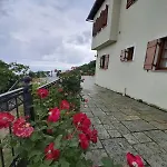 Guest house Olga 3*