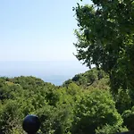 Olga 3*
