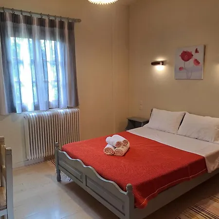 Olga Guest house