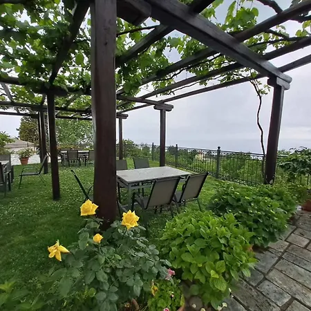 Olga Guest house *