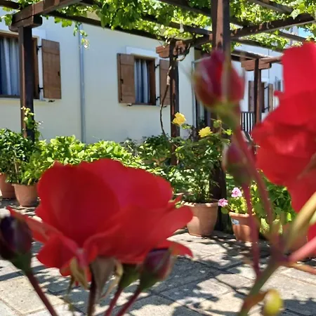 Olga Guest house Tsagarada