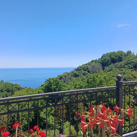 Guest house Olga