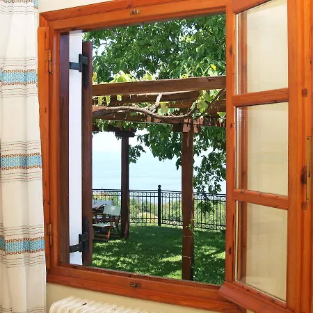 Olga Guest house *
