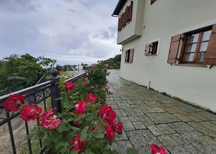 Casa de hóspedes Olga 3*