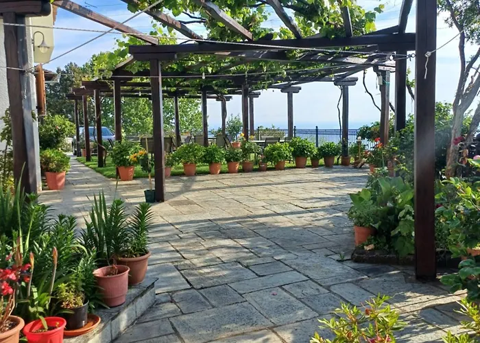 Casa de hóspedes Olga