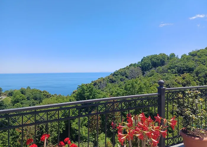 Casa de hóspedes Olga