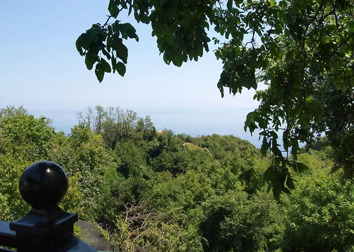 Casa de hóspedes Olga 3*