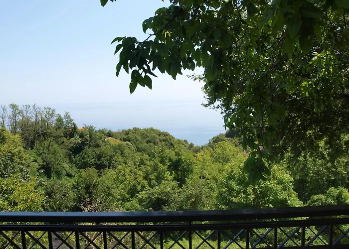 Casa de hóspedes Olga Tsagarada